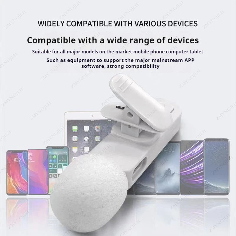 Wireless Mini Microphone