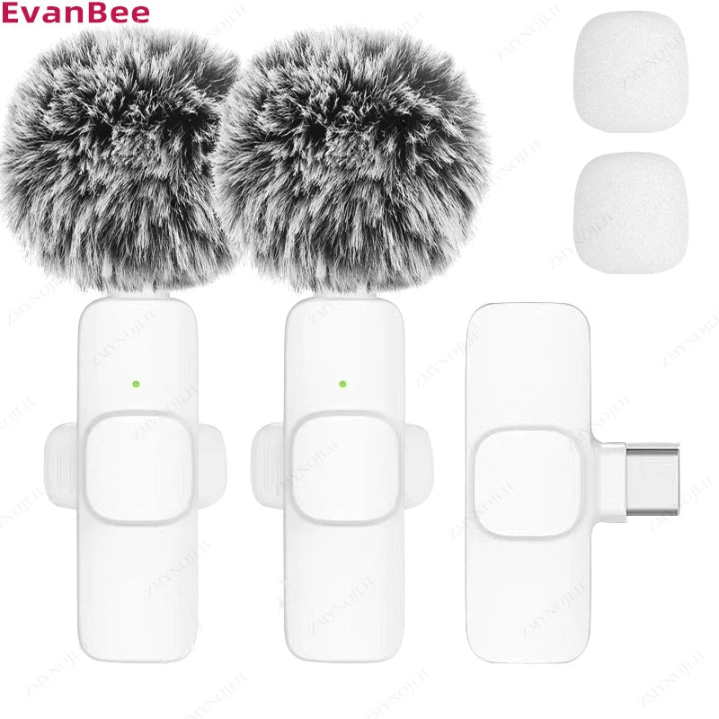 Wireless Mini Microphone