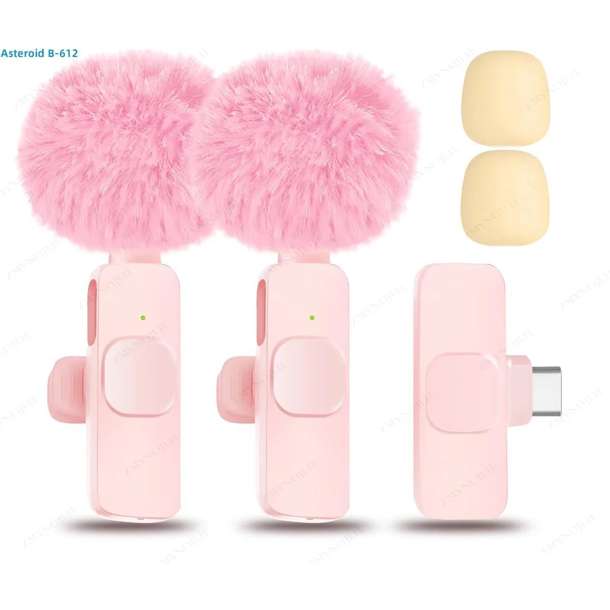 Wireless Mini Microphone